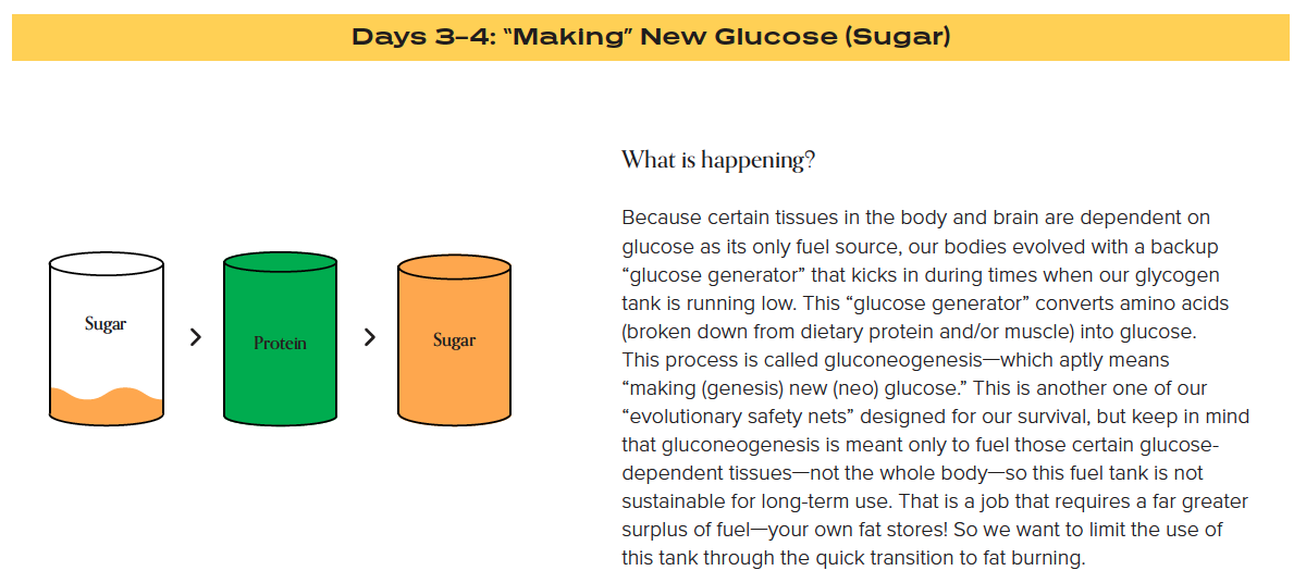 Ideal Protein Phase 1 through 3 Ketogenic Weight Loss Protocol