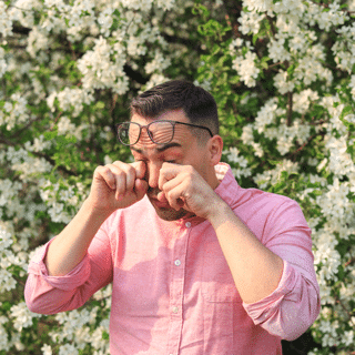 allergy season